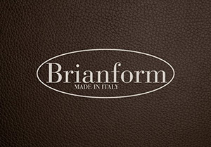 Логотип Brianform